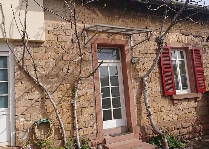 Weinstrassenmitte * Neustadt an der Weinstraße